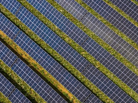 Renewable Energy