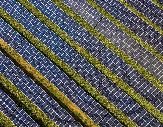 Renewable Energy